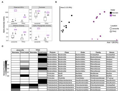 Soil Environments Influence Gut Prokaryotic Communities in the Larvae of the Invasive Japanese Beetle Popillia japonica Newman